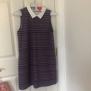 Zara Trafaluc Collection Dress